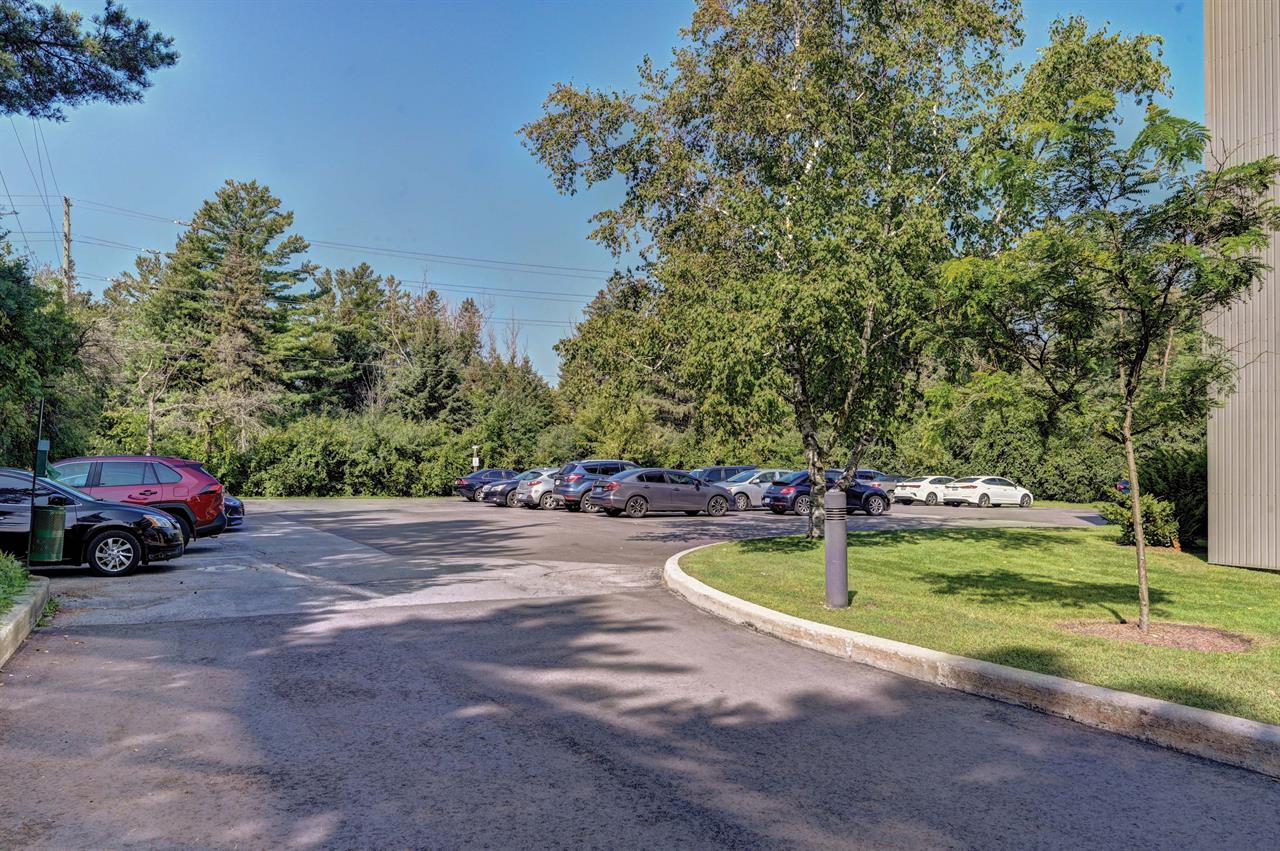 Somerset Place - Cambridge | 2894885