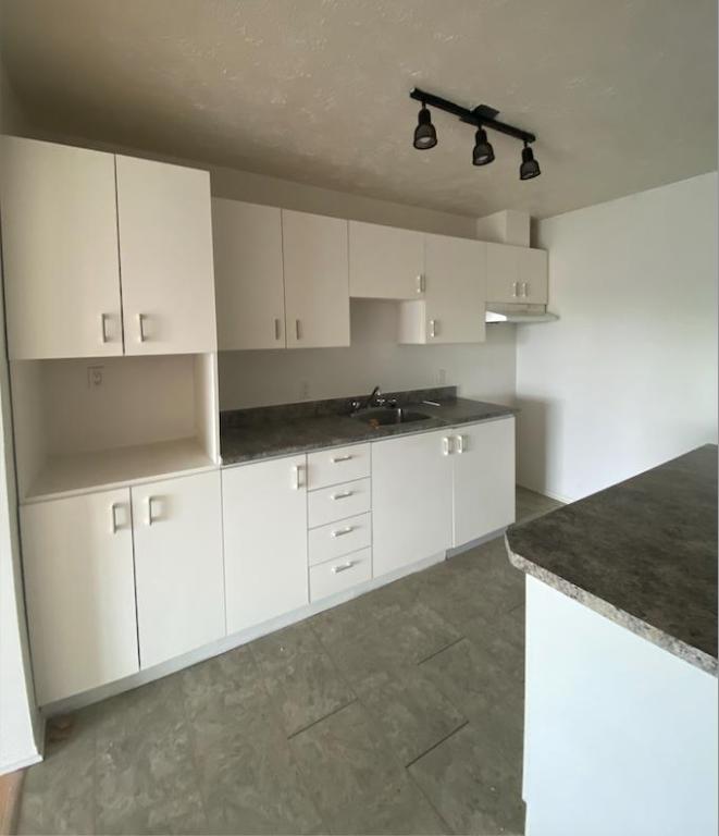 GRAND ET LUMINEUX 3.5 DISPONIBLE 1er AOUT 2025 | 2895164