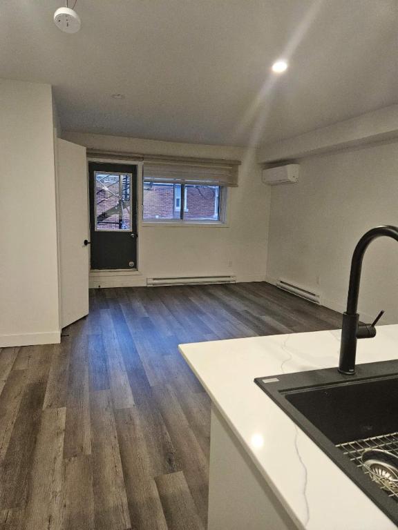 1 CH - 1 SDB - Montréal - $1,245 /mo | 2895435