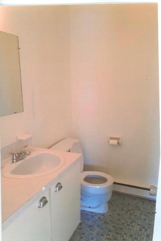 L` Assomption 4 et demi à louer 1295.00$ par mois. | 2895444