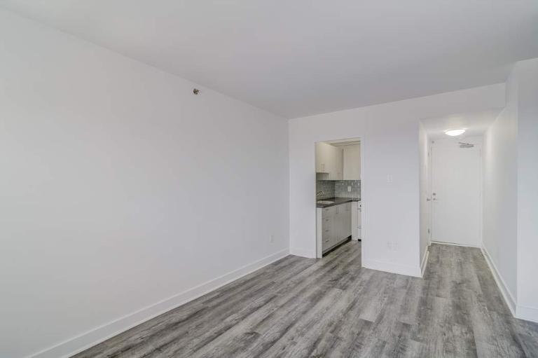 1 CH - 1 SDB - Montréal - $1,345 /mo | 2895453