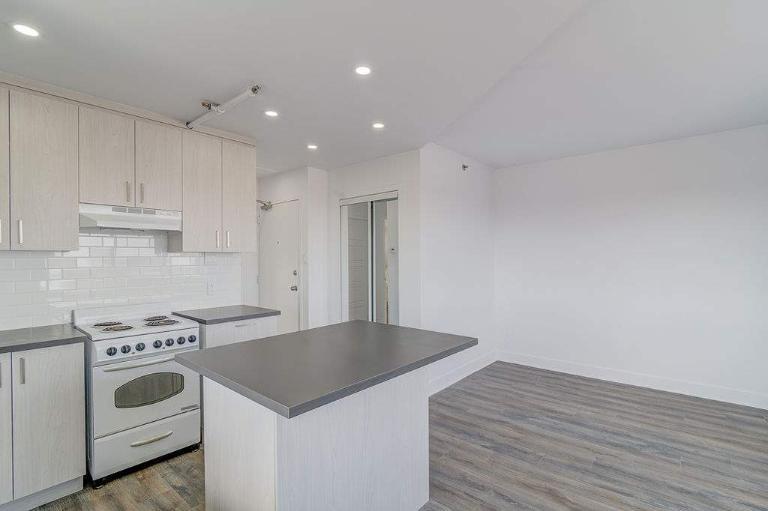 1 CH - 1 SDB - Montréal - $1,250 /mo | 2895455
