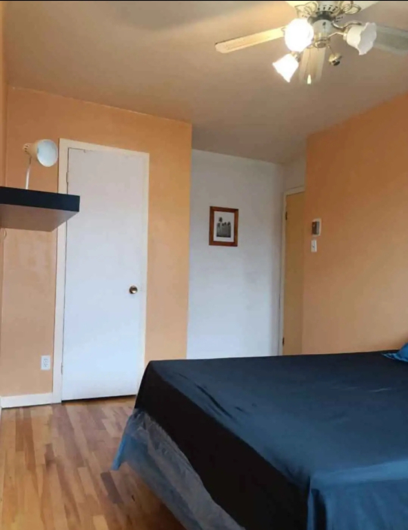Colocation/ Chambre A Louer | 2895500