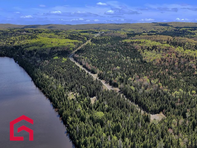 Terrain Résidentiel Lac-des-Aigles À Vendre | 2895508