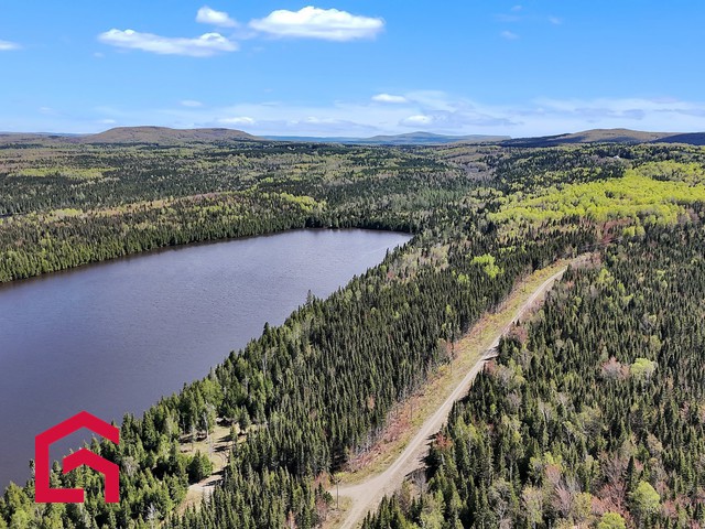 Terrain Résidentiel Lac-des-Aigles À Vendre | 2895509