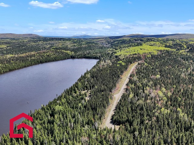 Terrain Résidentiel Lac-des-Aigles À Vendre | 2895515