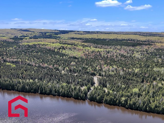 Terrain Résidentiel Lac-des-Aigles À Vendre | 2895518