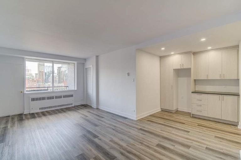 1 CH - 1 SDB - Montréal - $1,450 /mo | 2895571