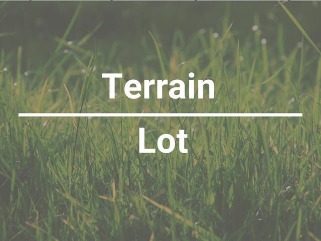 Terrain | 2896789