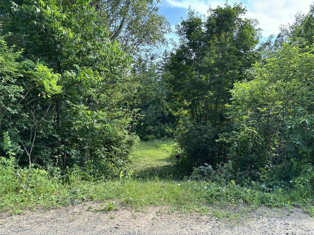 Superbe terrain sur le St-Maurice | 2896903