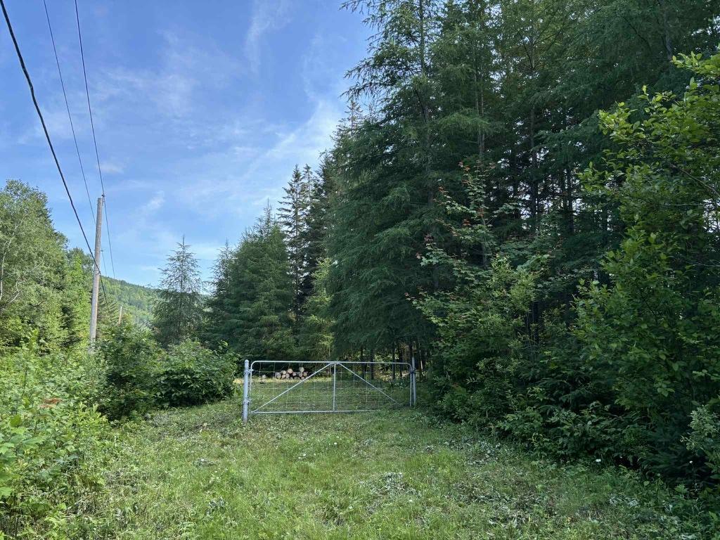 Superbe terrain sur le St-Maurice | 2896903