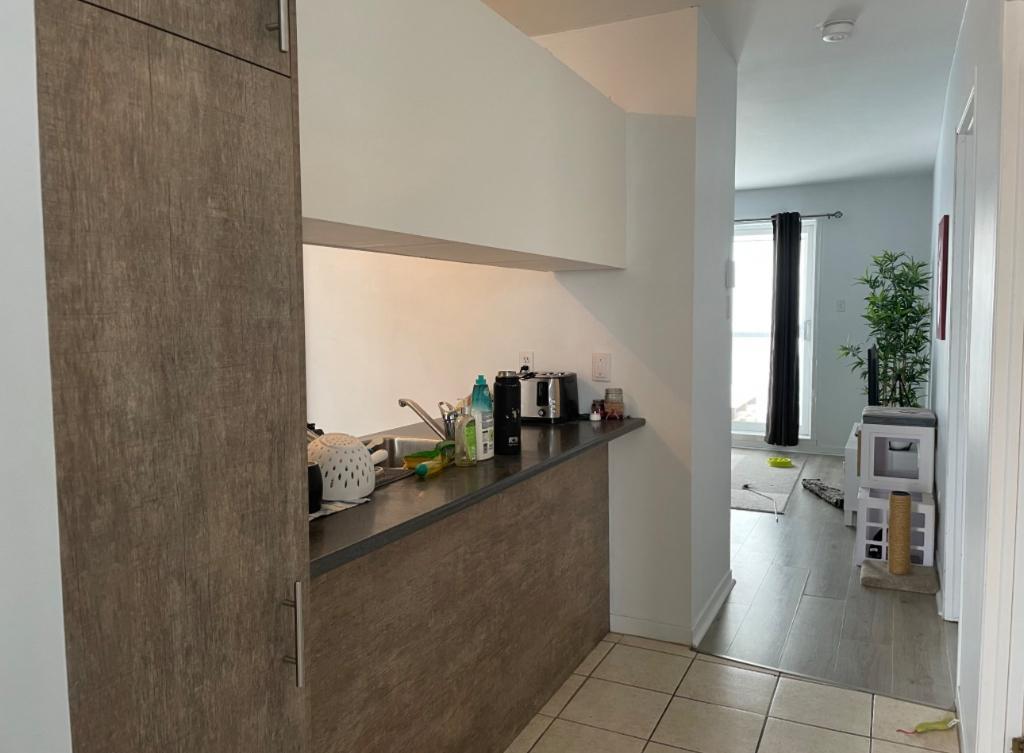 Appartement 4 1/2 - 1er août - Lévis | 2897209