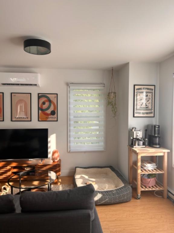 Appartement 1 chambre 1 salle de bain | 2897211