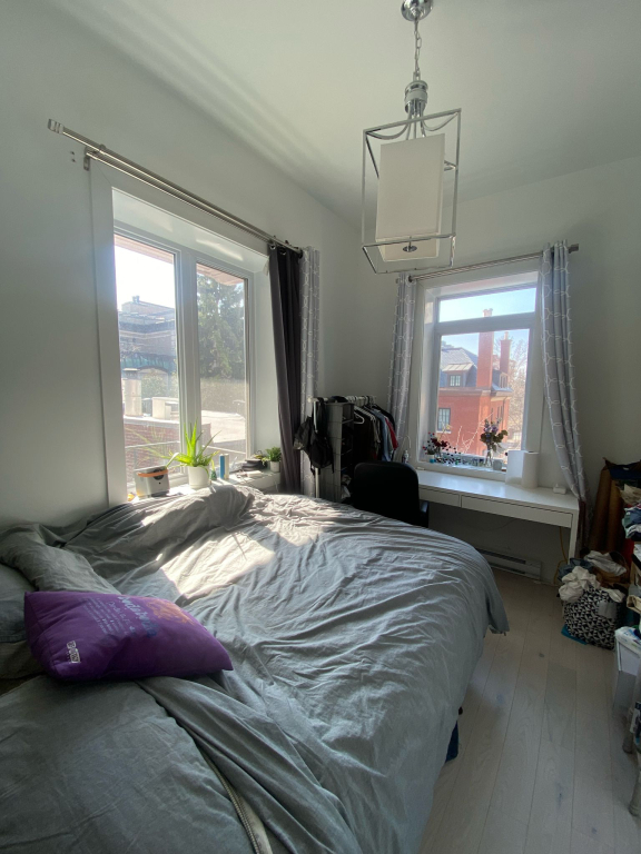 McGill Area - Superb 5 1/2 Furnished | 2897827