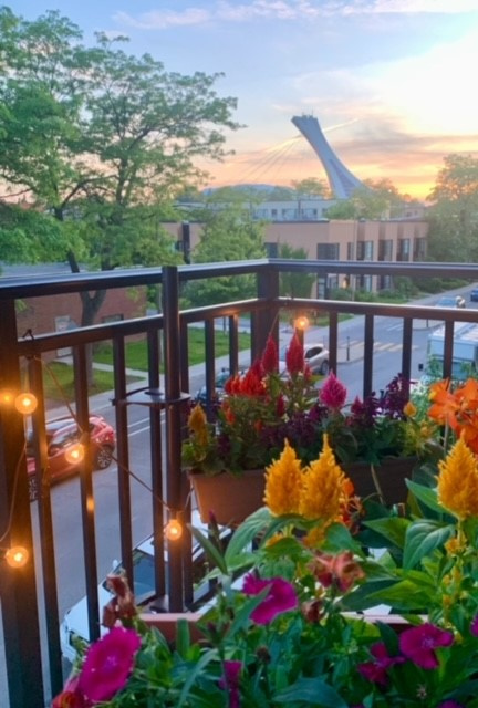 Condo Saint-Clément | 2897831
