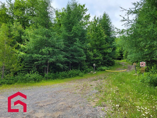Terrain Résidentiel Chertsey À Vendre | 2897844