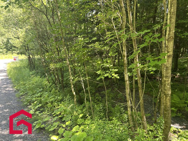 Terrain Résidentiel Lac-Brome À Vendre | 2897846
