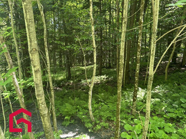 Terrain Résidentiel Lac-Brome À Vendre | 2897846