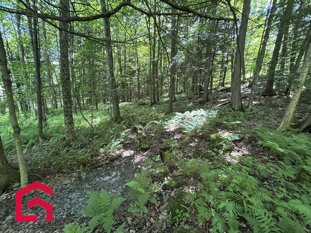 Terrain Résidentiel Lac-Brome À Vendre | 2897846