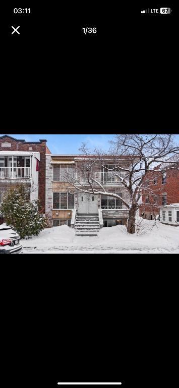 Grand 51/2 à Montréal | 2898148
