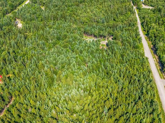 Terrain | 2898537