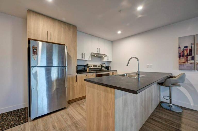 1 CH - 1 SDB - Longueuil - $1,485 /mo | 2899947