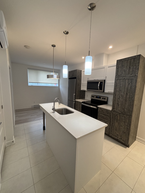 671 Boul Du Plateau, Unité 101 | 2900019
