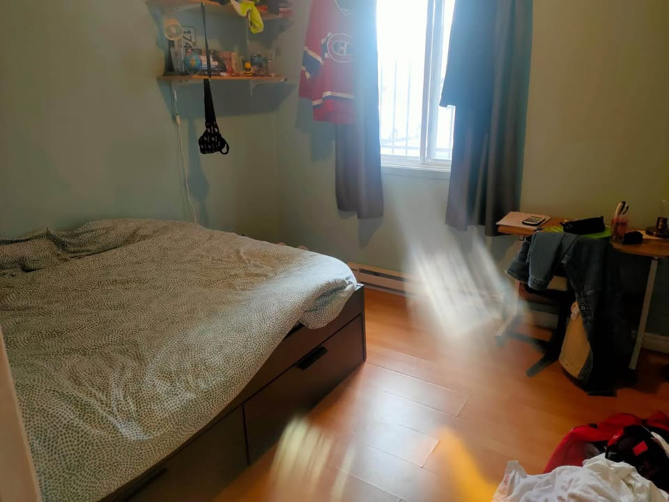 Mile-End - Beau 5 1/2 Au Rez De Chaussée | 2900529