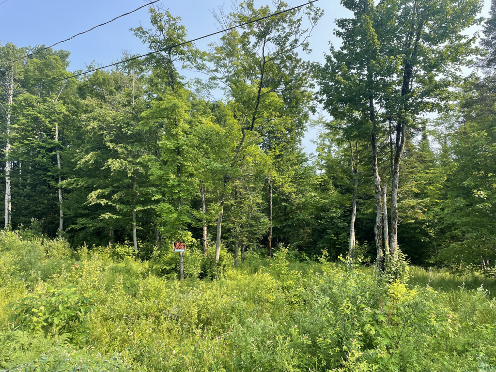 Beau Terrain Plat Sommet Des îles | 2900565