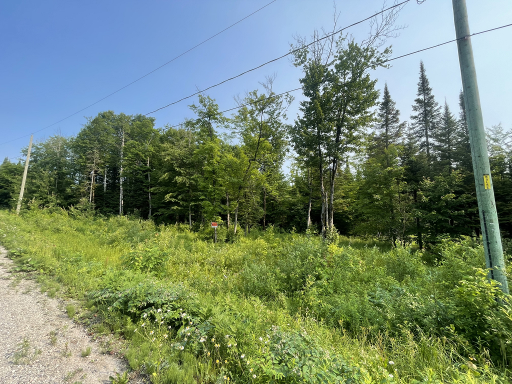 Beau Terrain Plat Sommet Des îles | 2900565