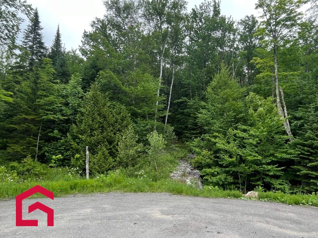 Terrain Résidentiel Sainte-Anne-des-Lacs À Vendre | 2900567