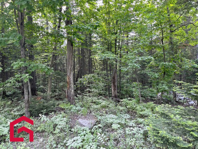 Terrain Résidentiel Saint-Adolphe-d'Howard À Vendre | 2900568