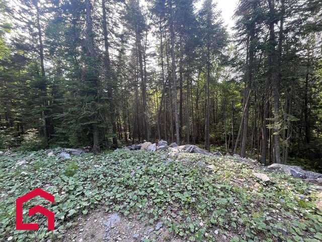 Terrain Résidentiel Saint-Adolphe-d'Howard À Vendre | 2900568