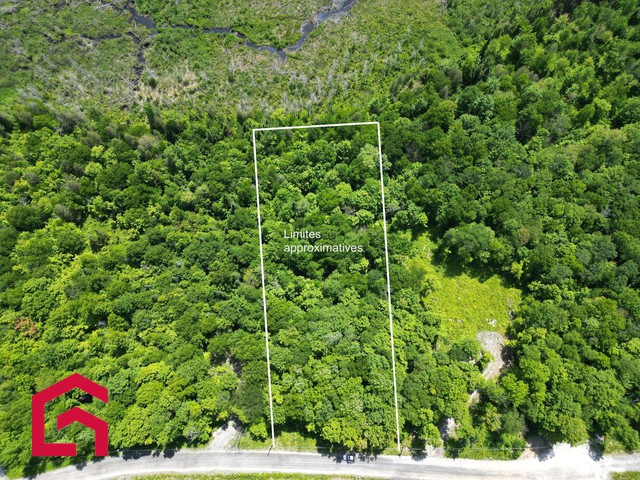 Terrain Résidentiel Eastman À Vendre | 2900569