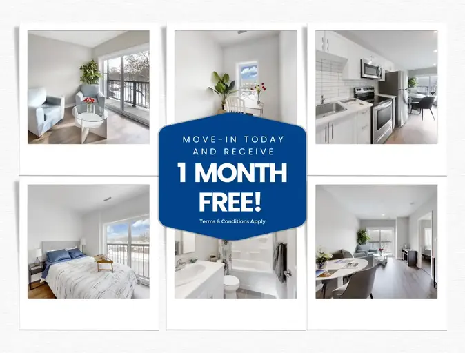 233 Dunlop | 233 Dunlop Street W, Barrie | 2900710