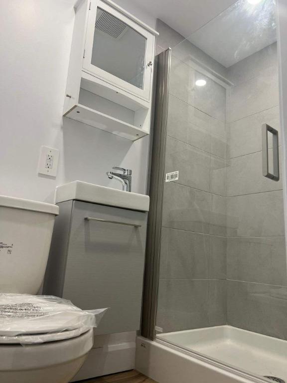 Studio - Montréal - $1,245 /mo | 2903022