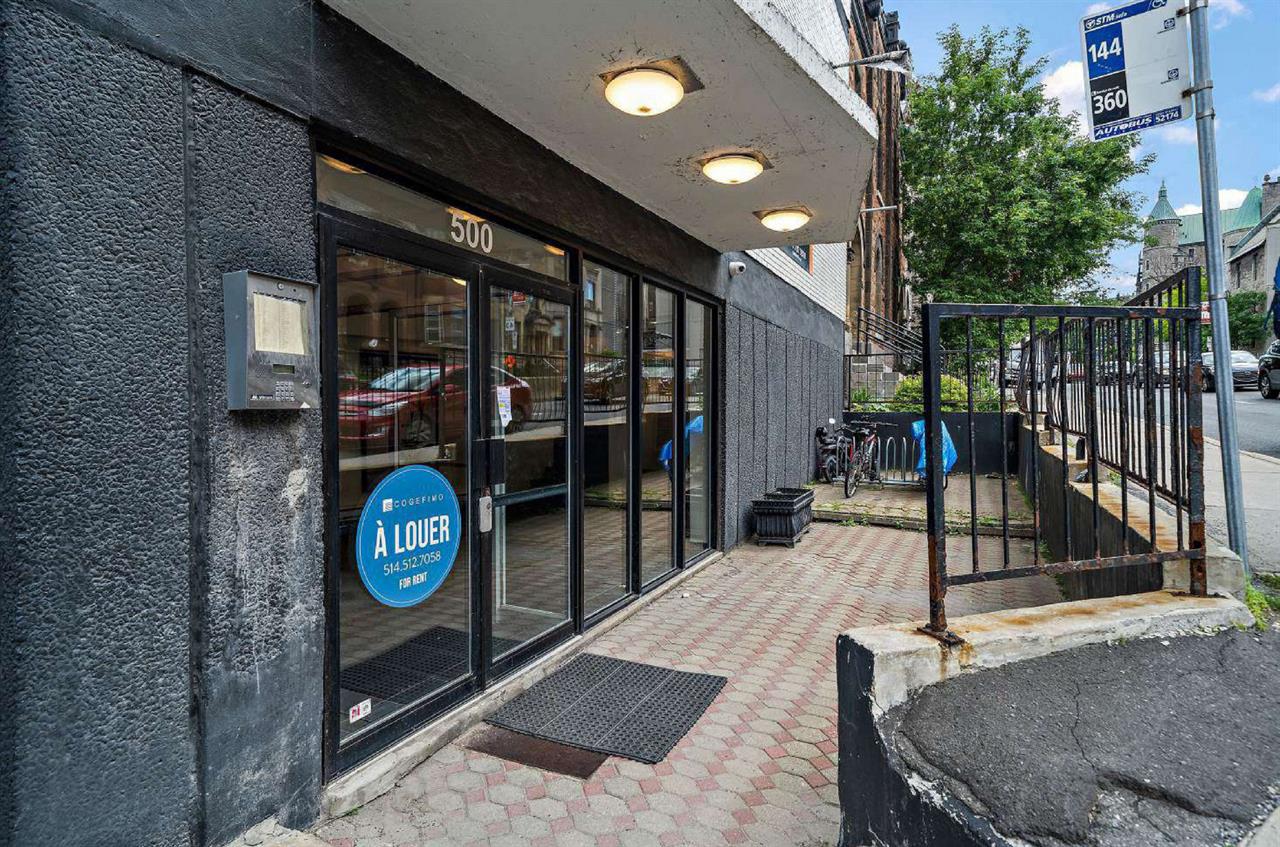 Studio - Layout 2 - 500 Avenue Des Pins Ouest, Montréal | 2903106