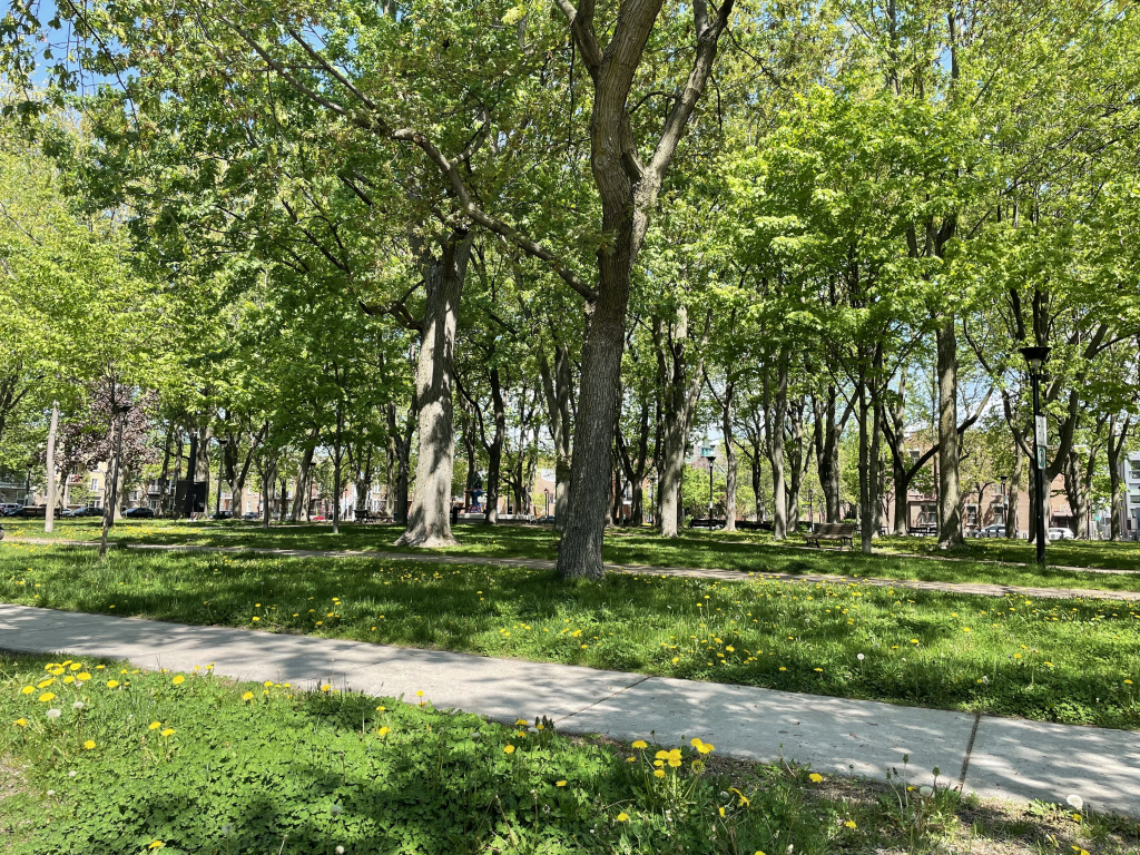6 1/2 3ème étage Vue Sur Le Parc Saint-P | 2903120