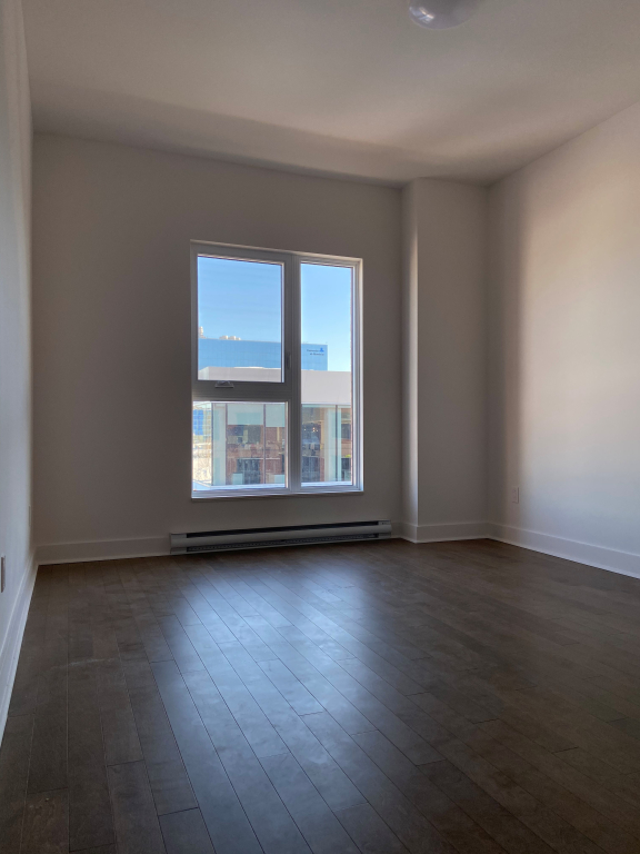 Magnificent Studio | 2904024