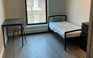 Studio - Montréal - $1,245 /mo | 2904026