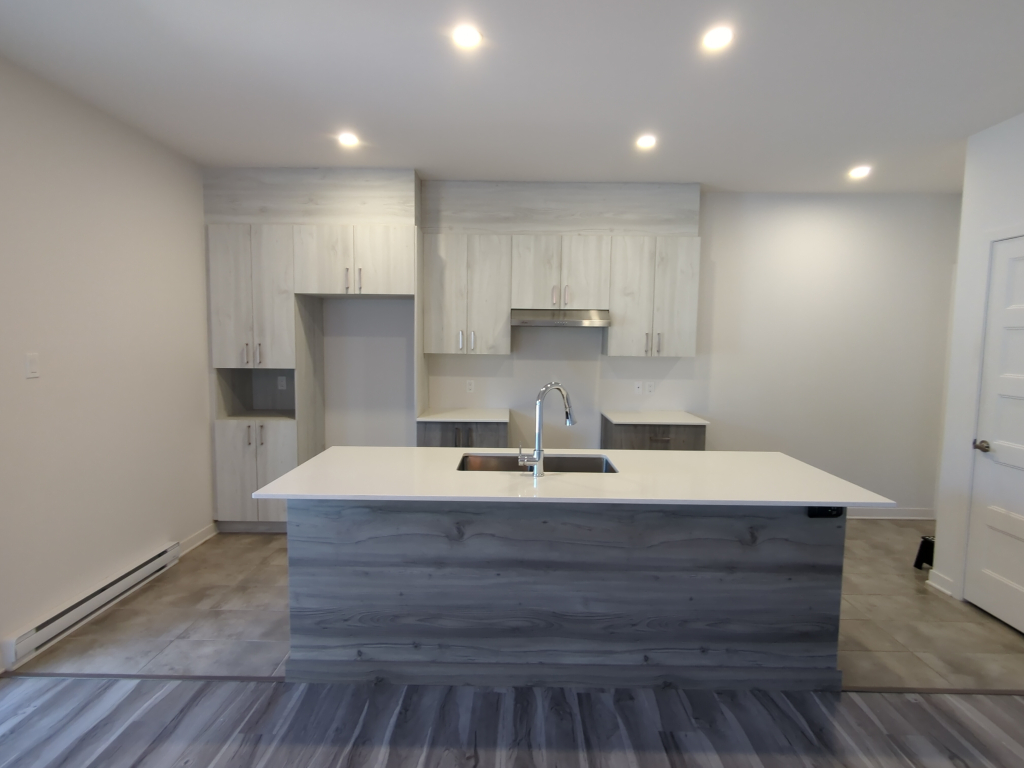 4 & 1/2 Demi Sous-Sol à Lachute Condo St | 2906098