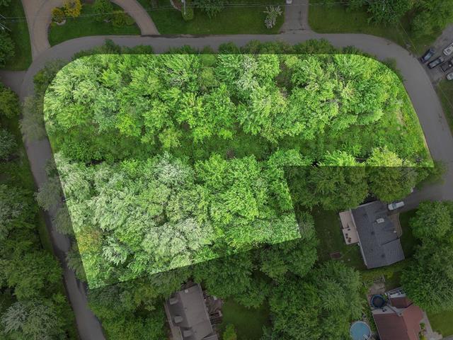 Terrain | 2906402