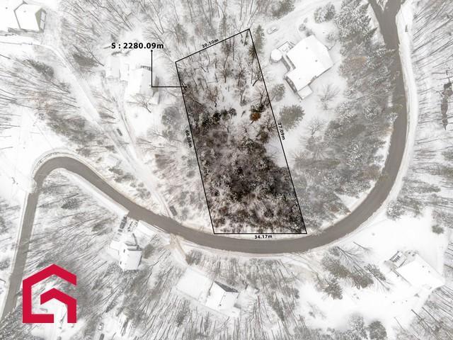 Terrain | 2906405