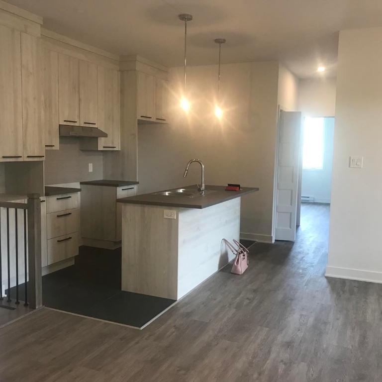 4 1/2 de style condo Demi Sous-Sol/ 2 Bedroom Apartment For Rent Basement | 2908128