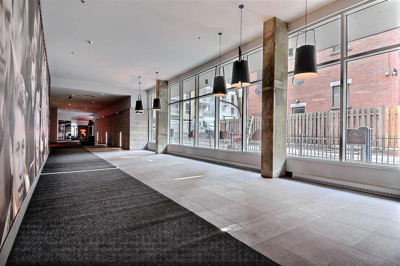 Appartement Ville-Marie (Centre-Ville, Vieux-Montréal) À Louer | 2908170