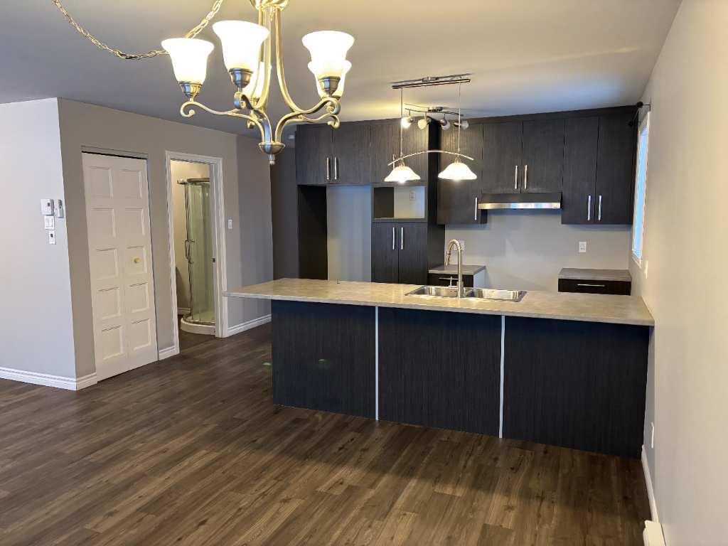 4 1/2 À LOUER (ST-DENIS-DE-BROMPTON) | 2912306