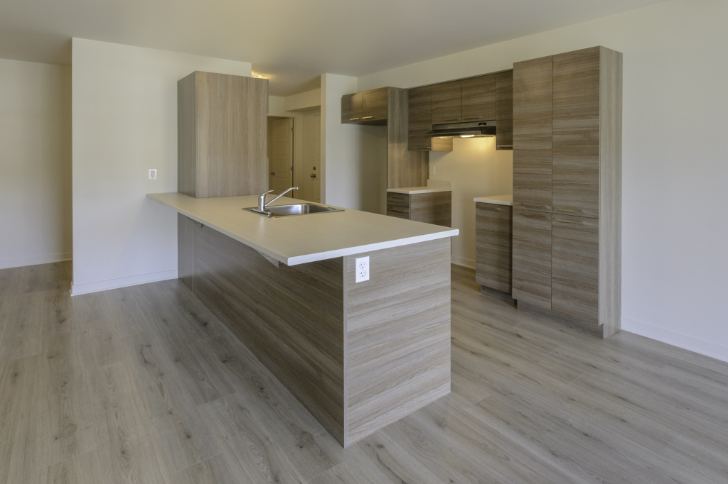 Logement 4 1/2 - 1er Oct - Saint-Jérôme | 2912373