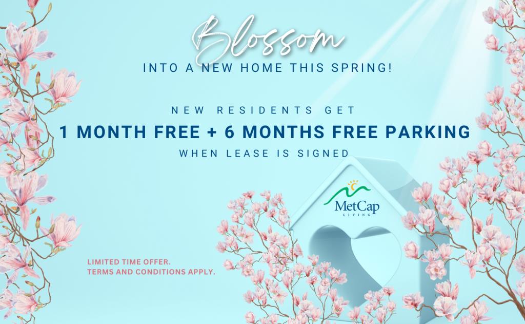 Silver Springs Park 1 | 2912509