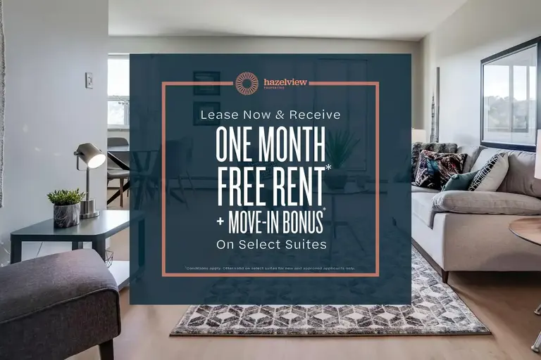 Mainwell Apartments | 23 Spring Street, Hamilton | 2912598