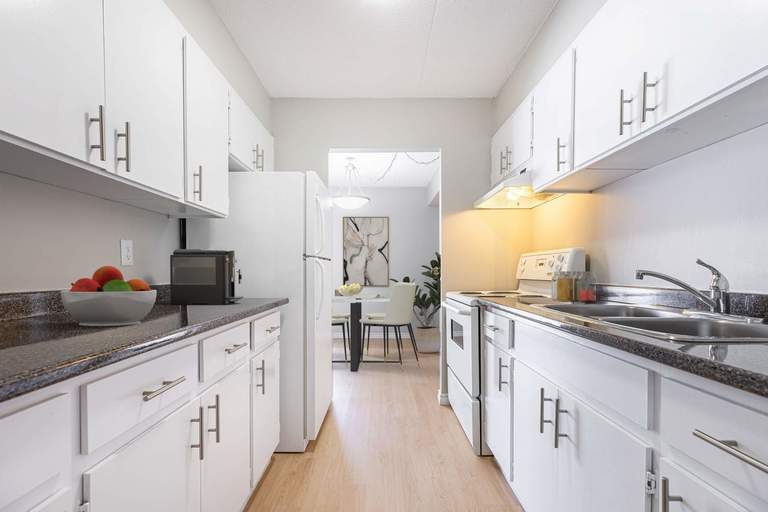 Trinity Apartments | 1170, 1145, 1175 Lauzon Road, Windsor | 2912620